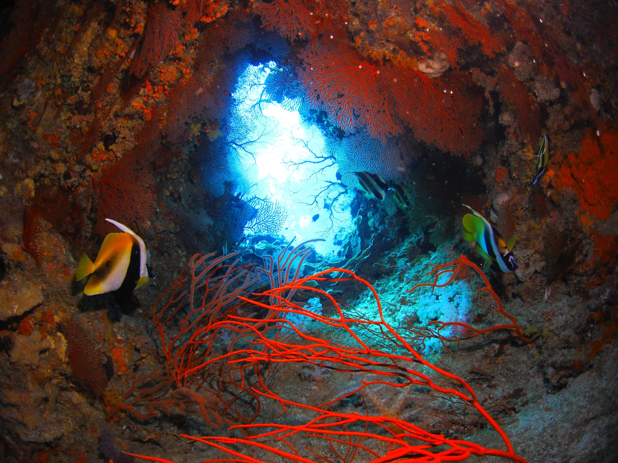 cave