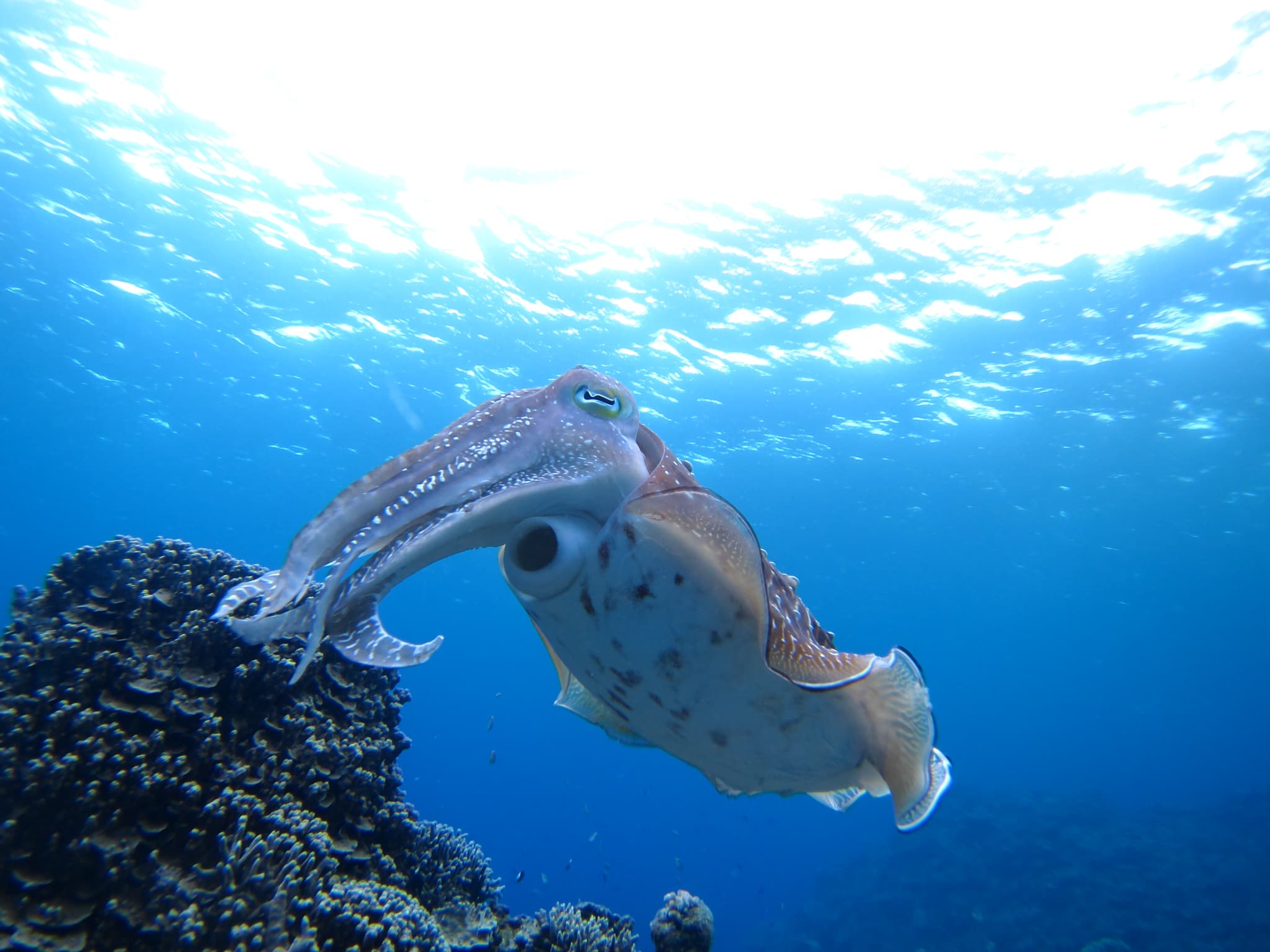 march sea