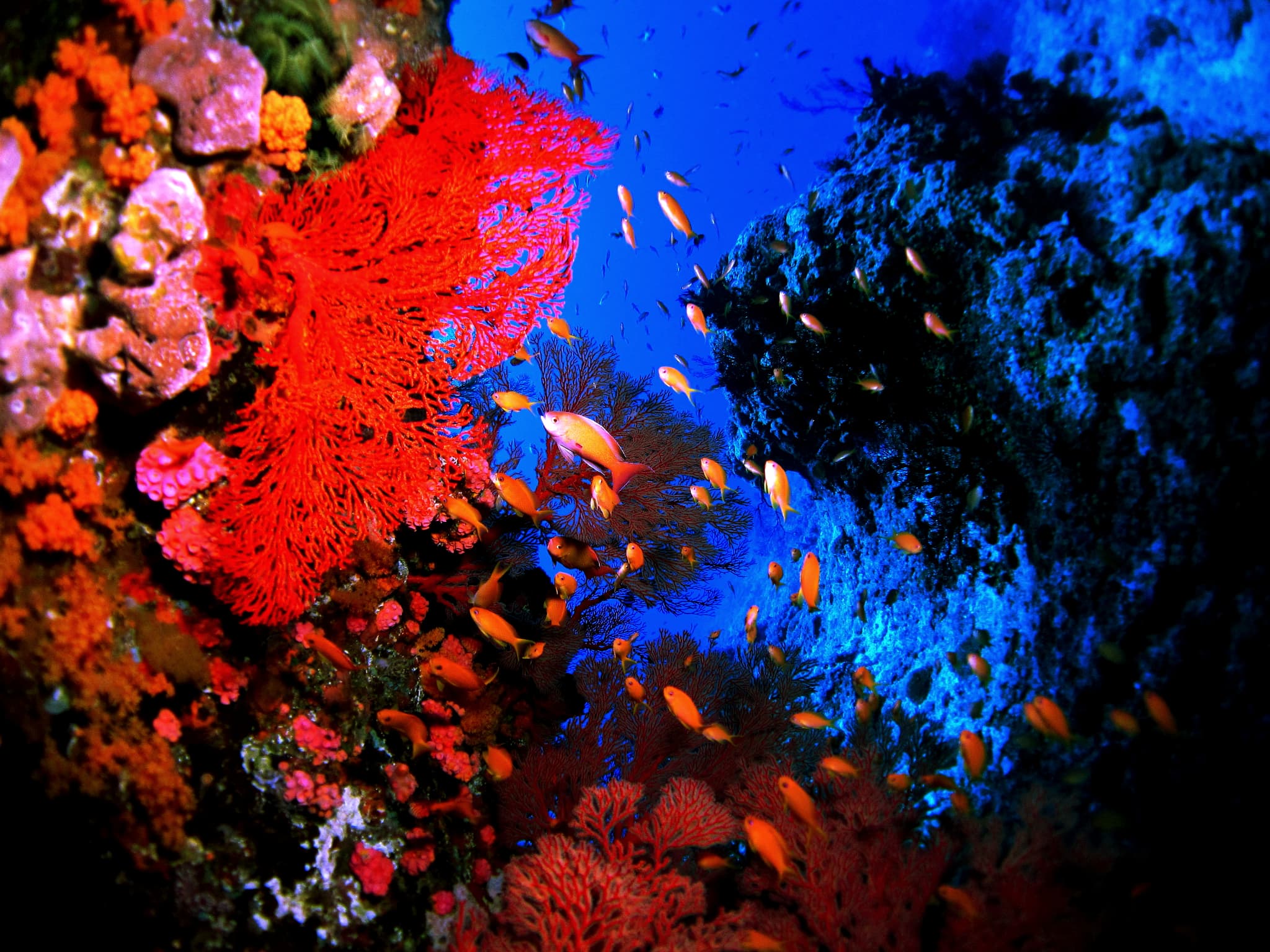 november sea