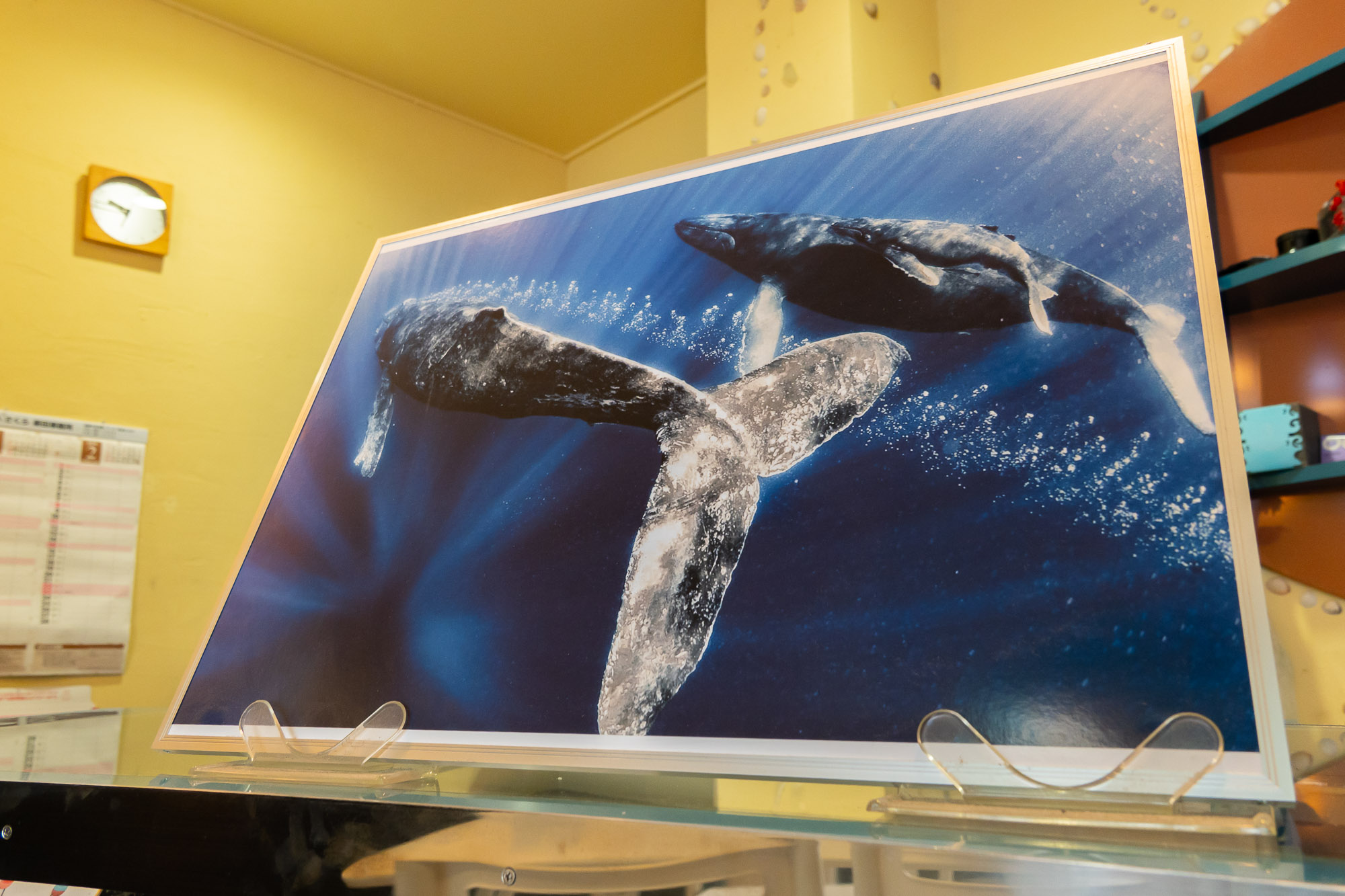 whale pic